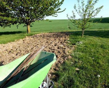 Calendrier lunaire - planatioon de tomates - orties